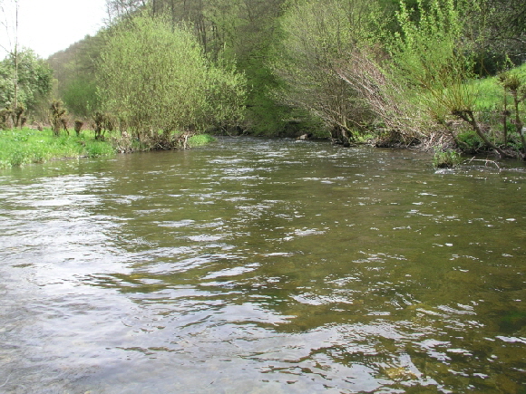 Übersicht Ruwer 27042008-680 Übersicht Ruwer 27042008-680