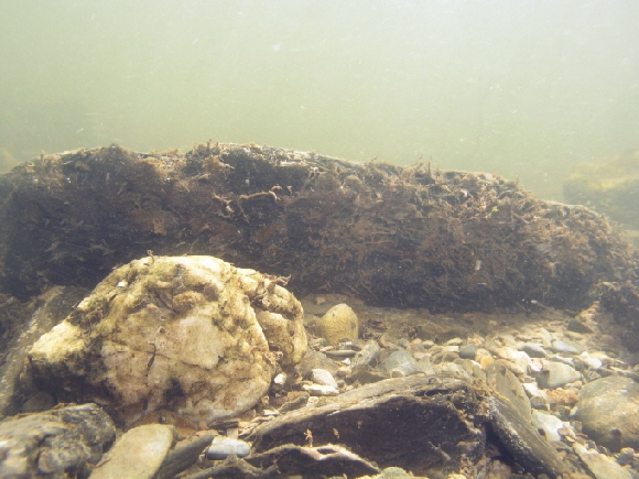 Biomasse-680 Biomasse-680