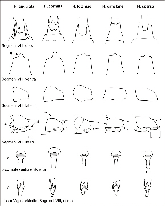 Hydropt-W-Abb7 Hydropt-W-Abb7