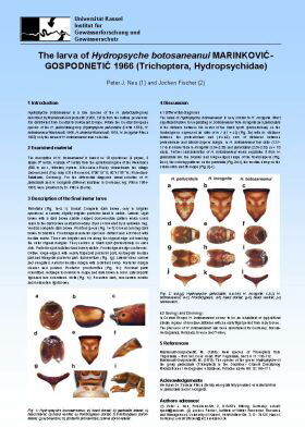 Klicken f�r pdf-Datei