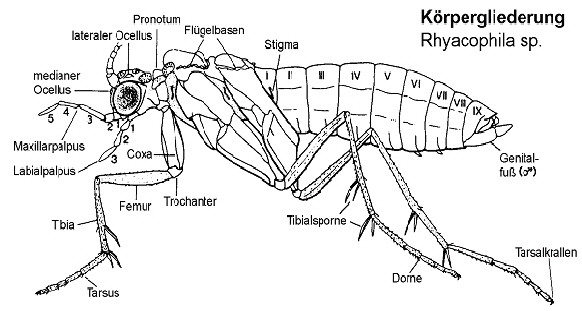 Terminologie-IM-0102