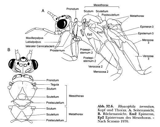 Terminologie-IM-0402