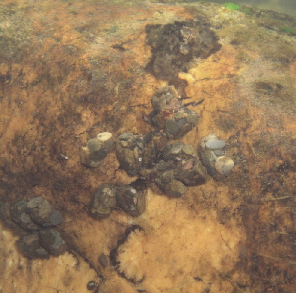 Weideflächen-01-680 Weideflächen-01-680